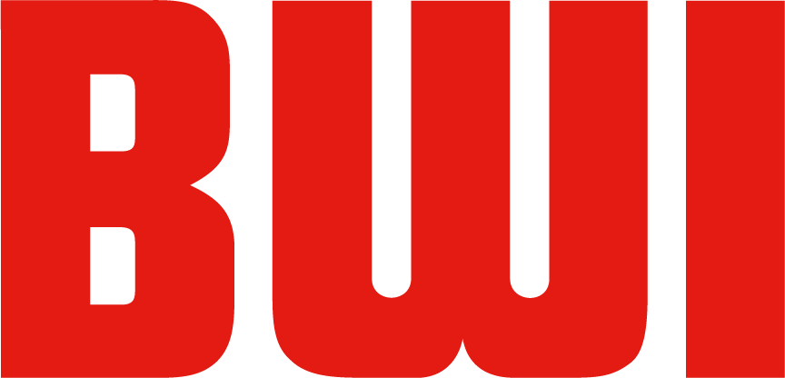 Bähr Werner Ingenieur Consult